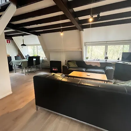 146 Arrivee דורבורי